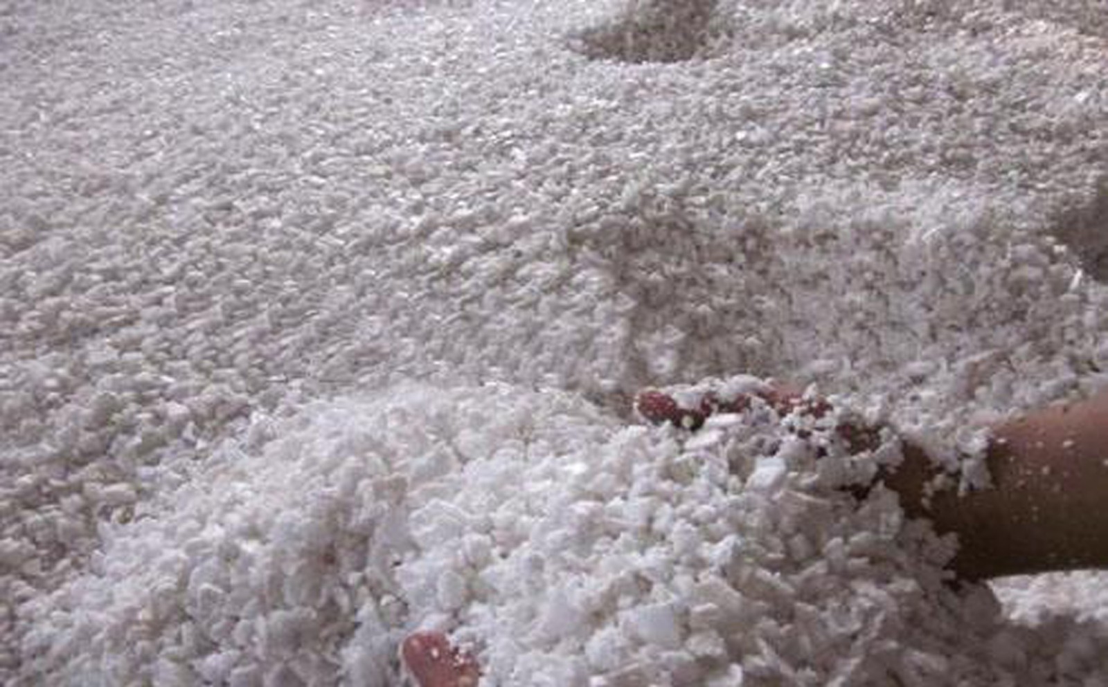 聚氨酯泡沫-强延迟催化剂 FOCAT-NX200,用于各种聚氨酯泡沫,如软泡、硬泡、高回弹、自结皮等等 聚氨酯泡沫-强延迟催化剂 FOCAT-NX200,用于各种聚氨酯泡沫,如软泡、硬泡、高回弹、自结皮等等